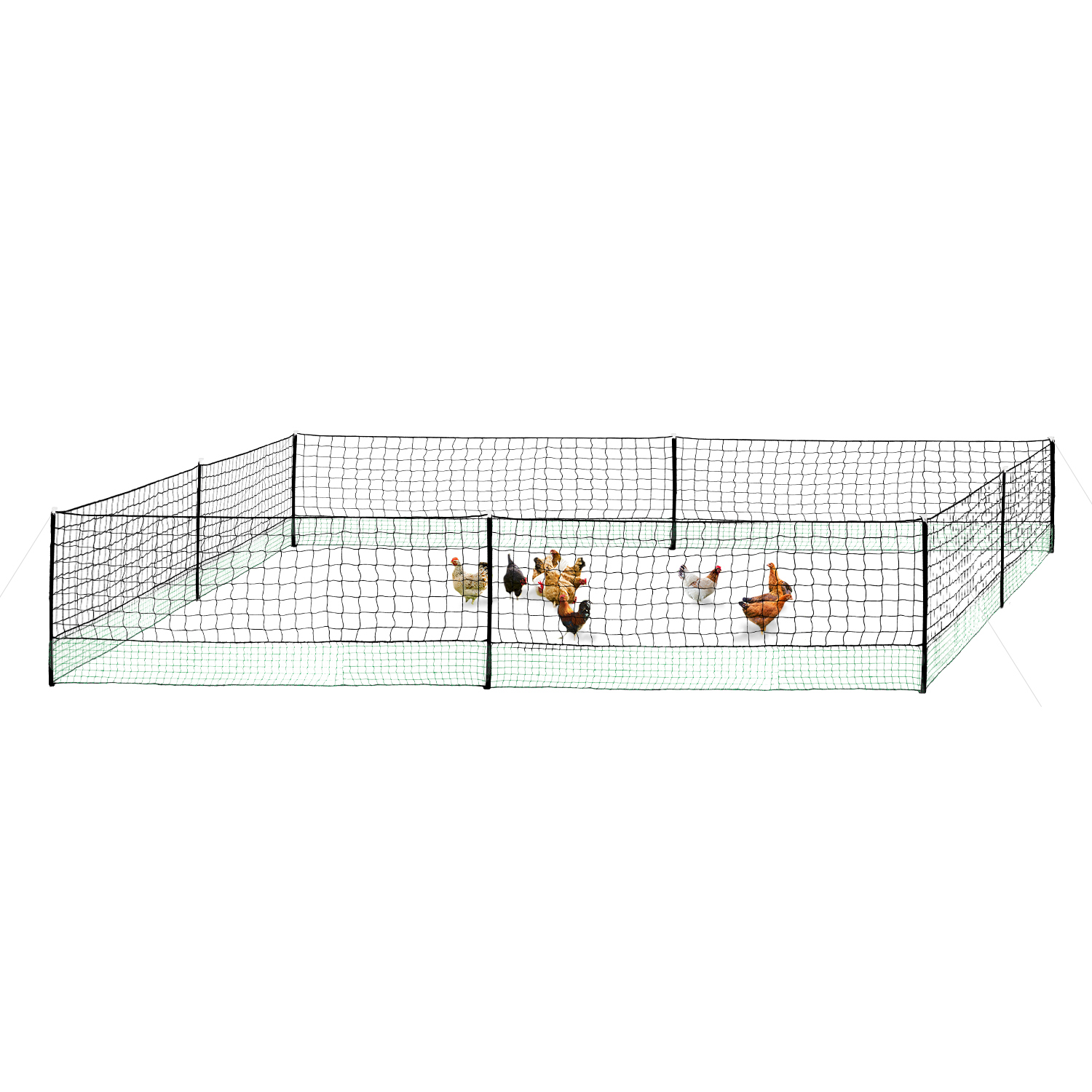 Kit clôture filet à poules 12 M avec porte 6 piquets double pointe