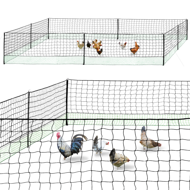 Filet pour poules pas cher 12 m avec porte 6 piquets