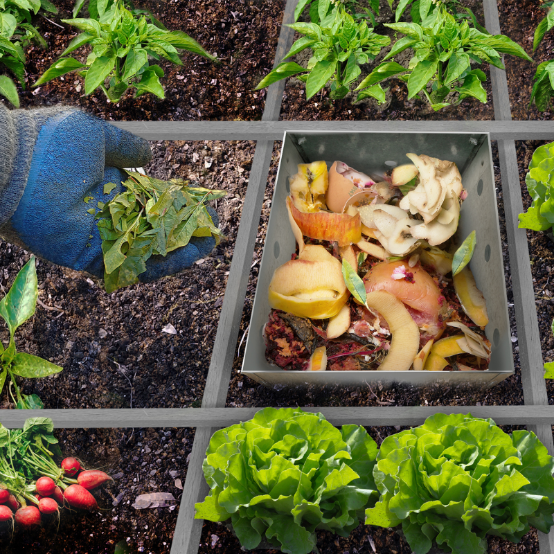 Carré potager serre pas cher bois avec composteur