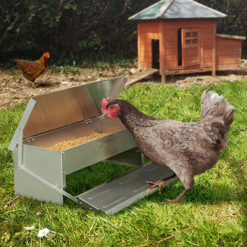 Mangeoire automatique pour poules pas cher