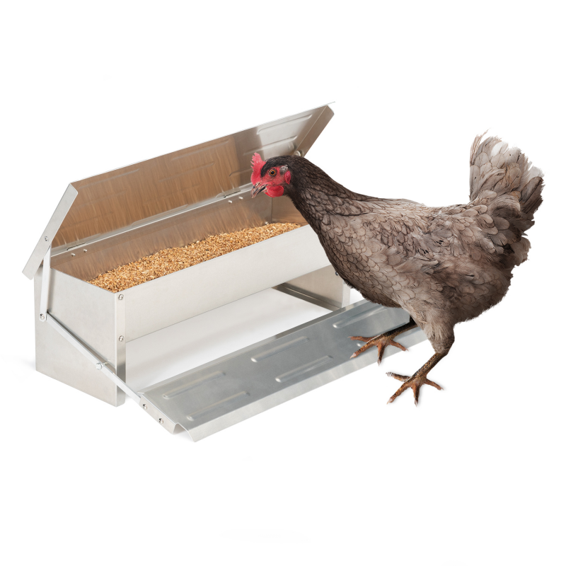 Mangeoire automatique pour poules pas cher