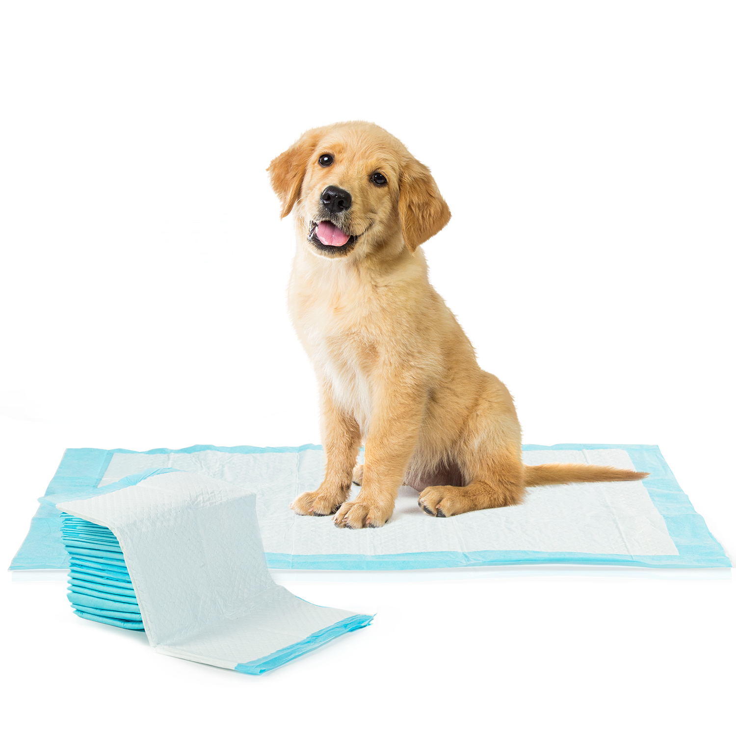 Aleses Pour Chiens Lot De 100 Tapis Educateur Chien Id Market