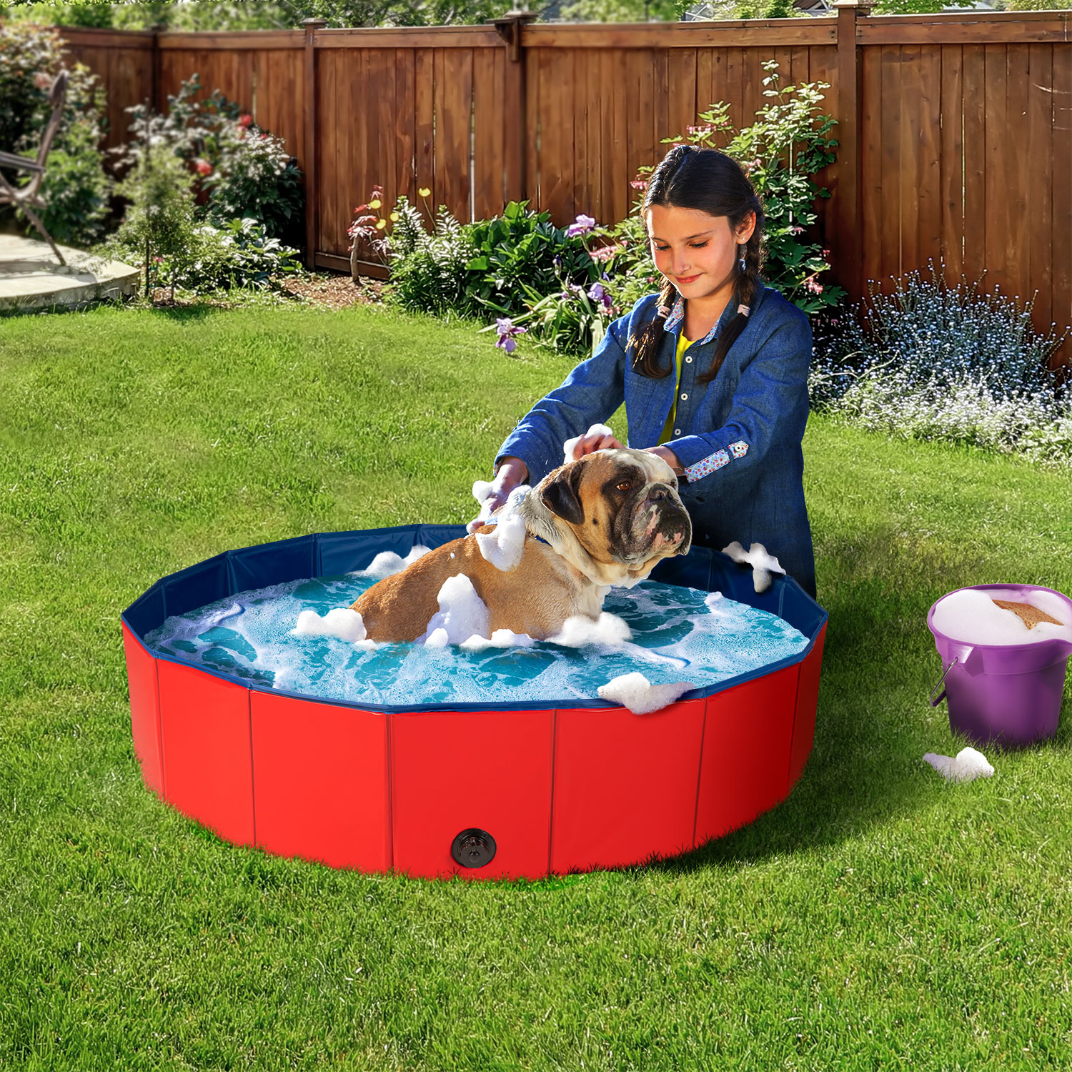 Piscine rigide pliable pour chien : la boutique de Lucien