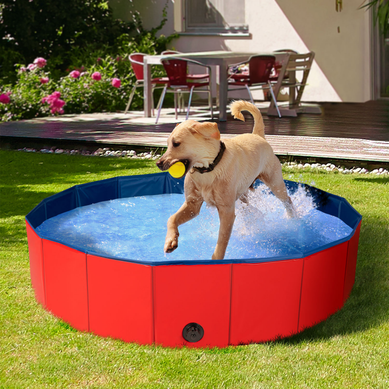 Piscine Pour Chien Pliable Pour Petits Et Grands Chiens - Temu France