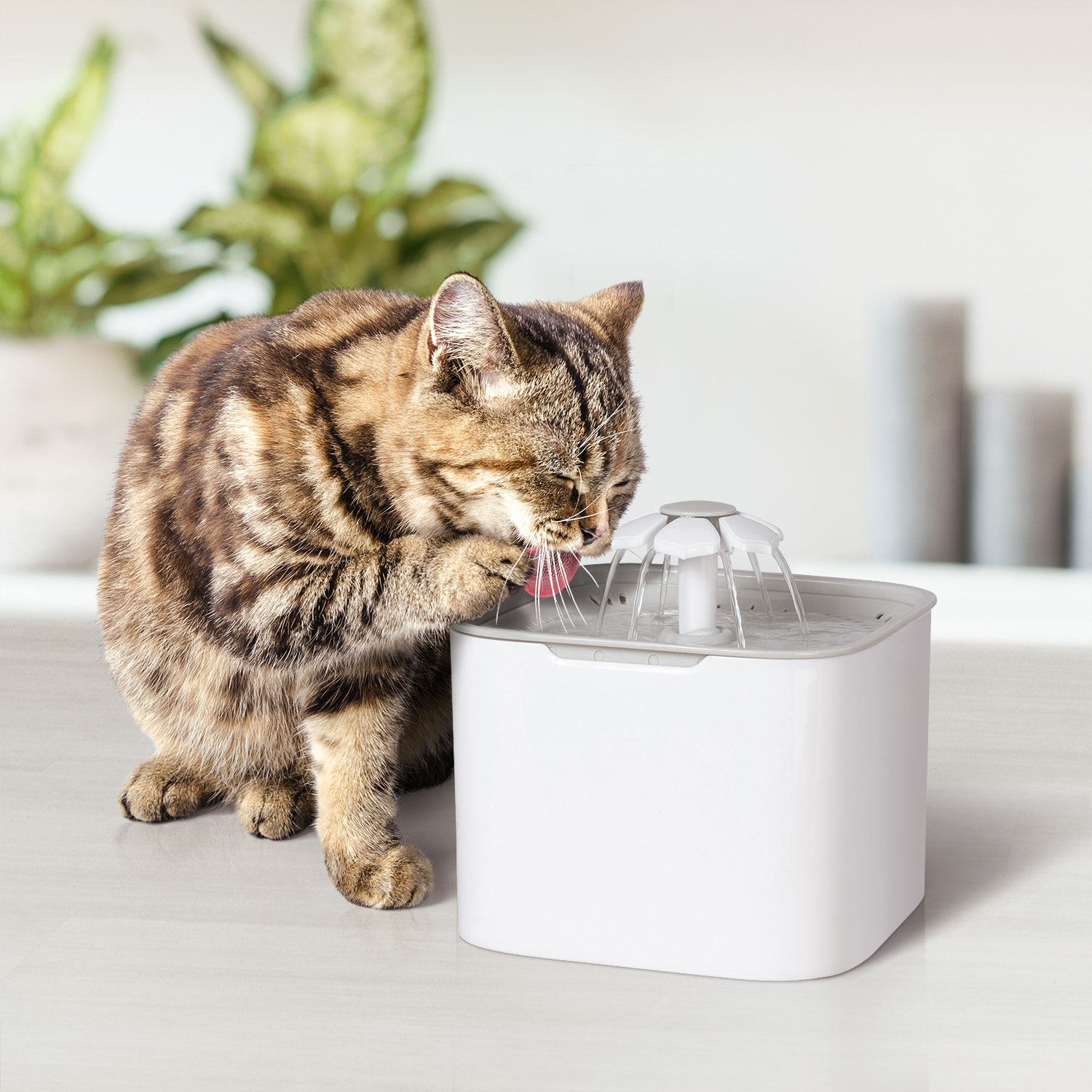 Le pack complet fontaine à eau 2L pour chat et chien et ses 6 filtr