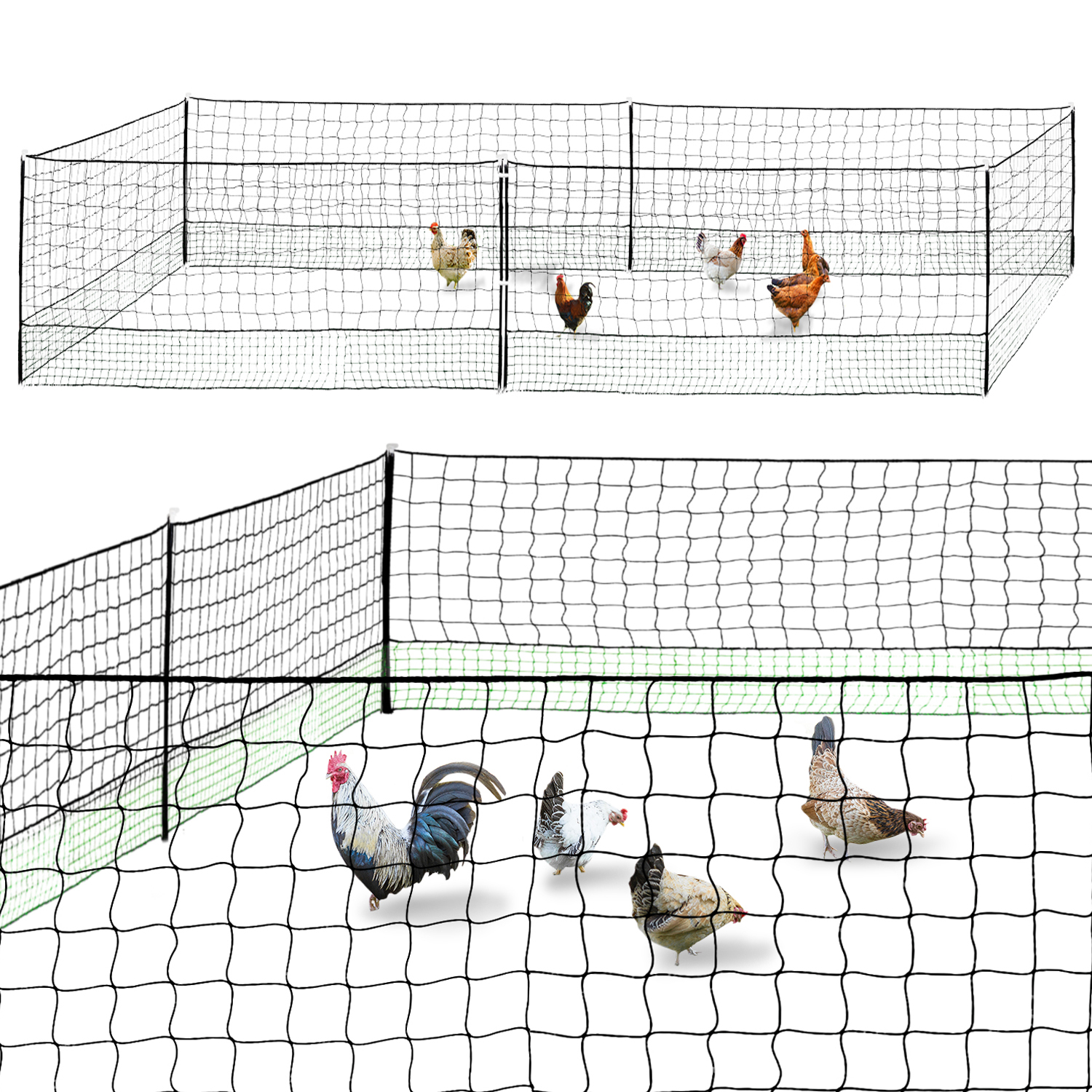 Filet pour poulailler 12 m