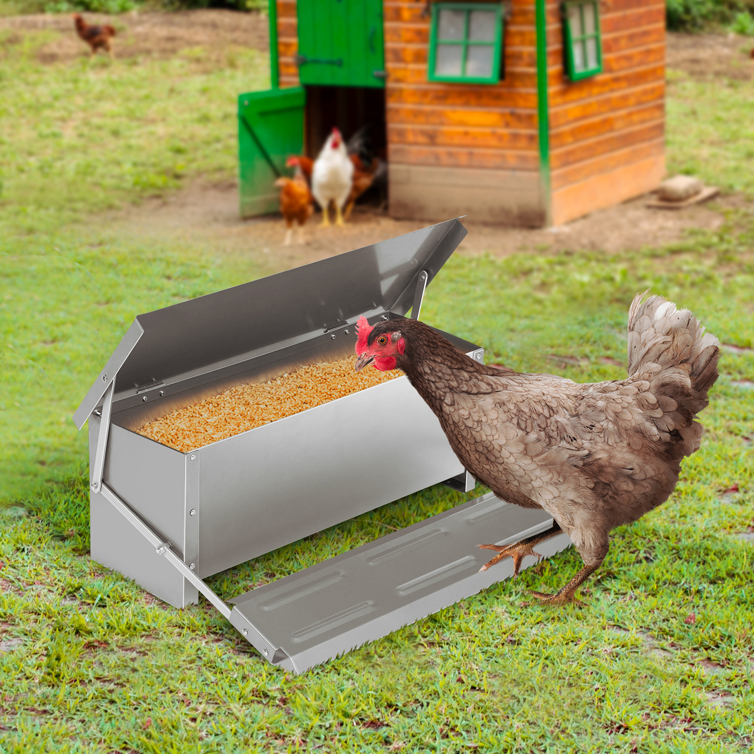 Mangeoire pour poules automatique à pédale XXL 10 kg en acier