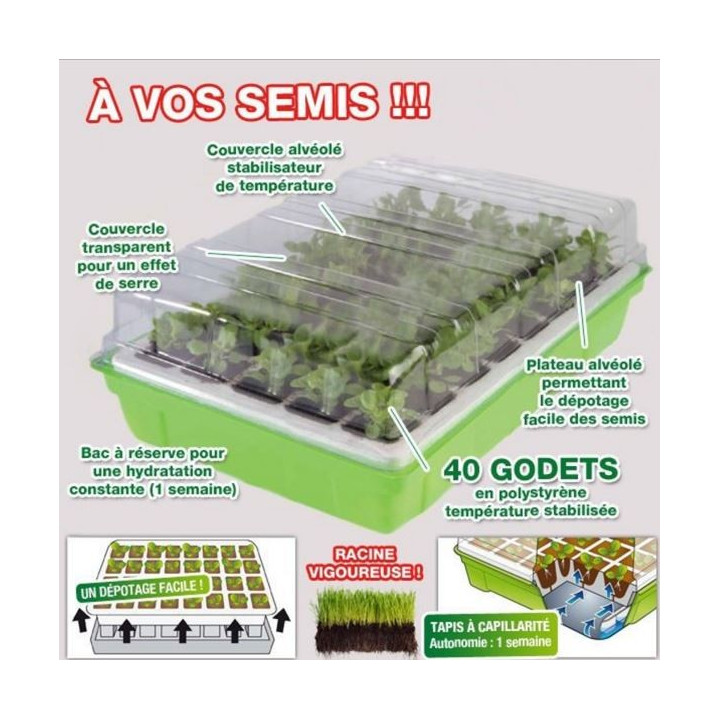 kit de germination 40 godets