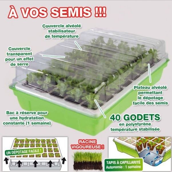 Kit de germination pas cher Mini serre de germination ID Market