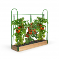 Serre à tomates spéciale croissance kit complet bâche + support