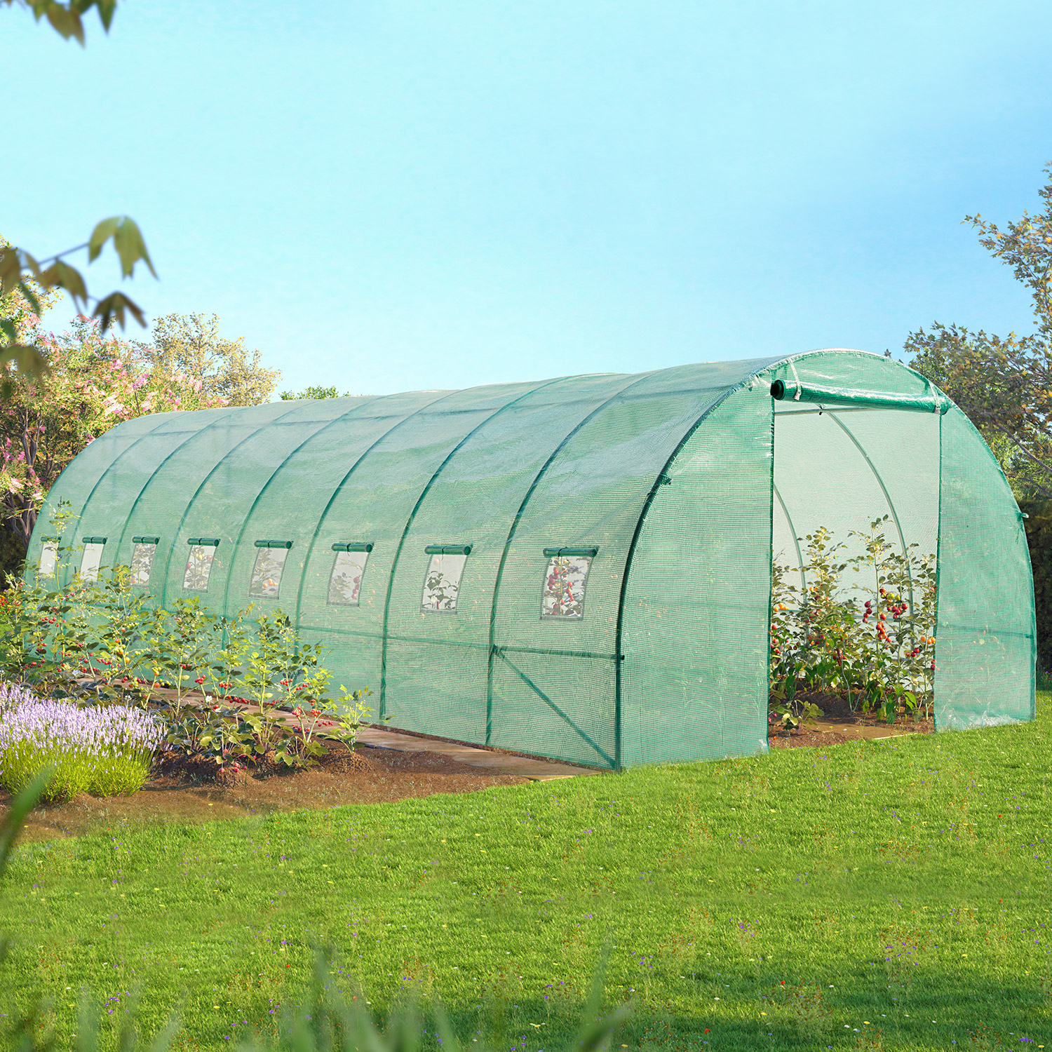 Serre de jardin 24 m² tunnel 8x3 m