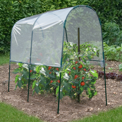 90006 - Serra per pomodori da 2 m Serre à tomates 2 M