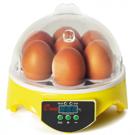 Couveuse manuelle 7 oeufs incubateur température réglable