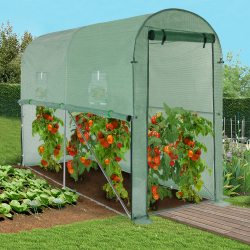 14723 - Serra per pomodori 3 m² 3x1x2m Serre à tomates relevable avec 2 fenêtres