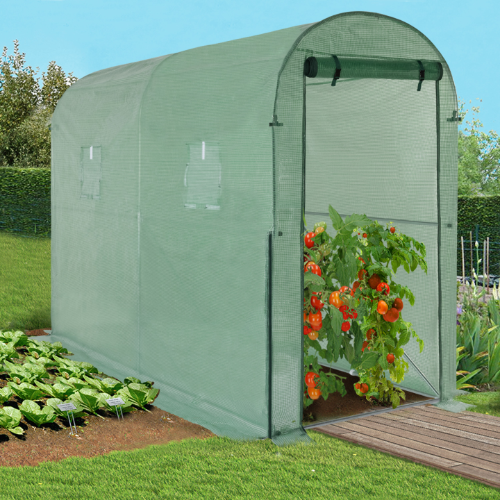 Serre à tomates relevable avec 2 fenêtres Serre à tomates relevable avec 2 fenêtres
