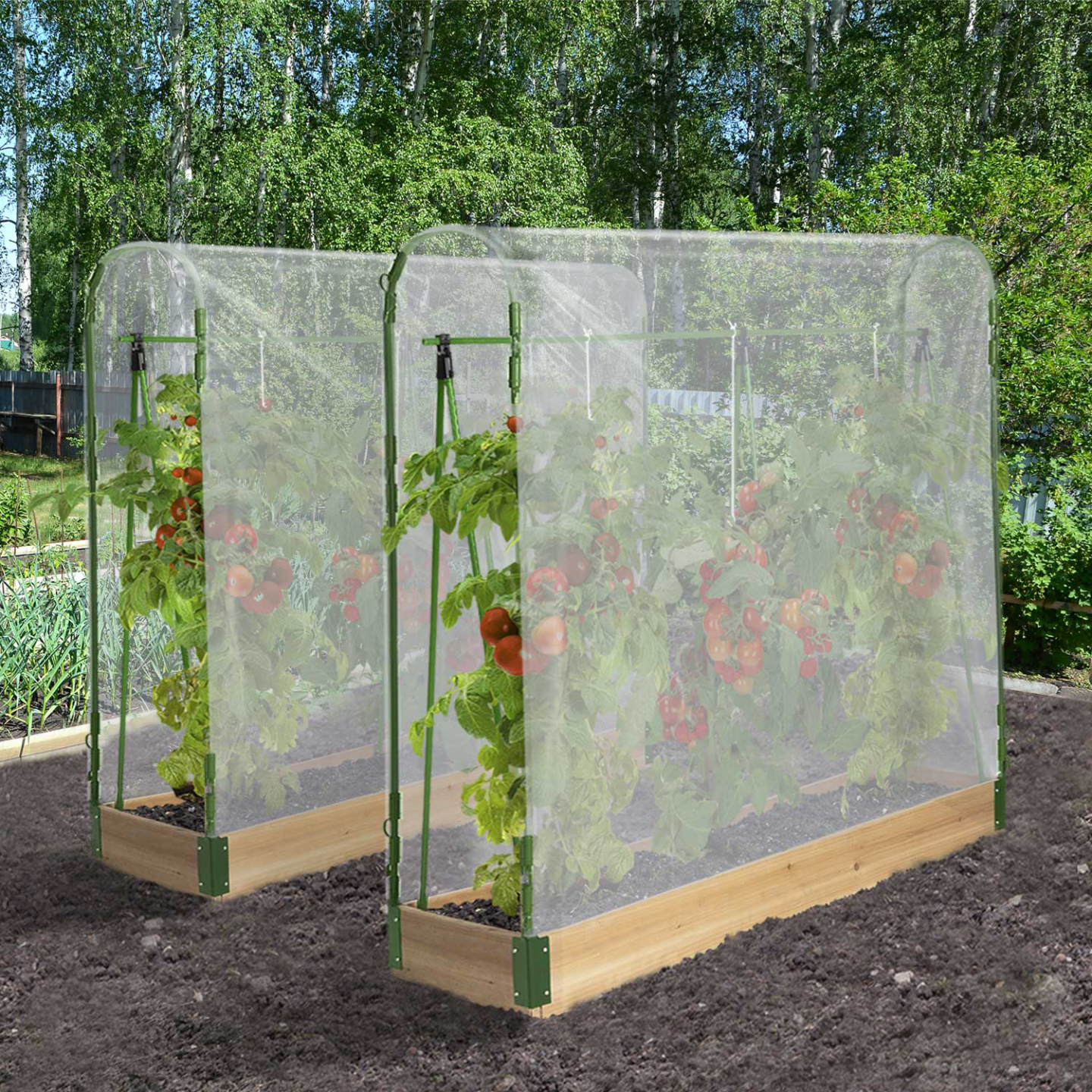 Serra Per Pomodori Zelsius 195x143x143 Cm - In Plastica Con Scaffali, Verde, Per Balcone E Giardino