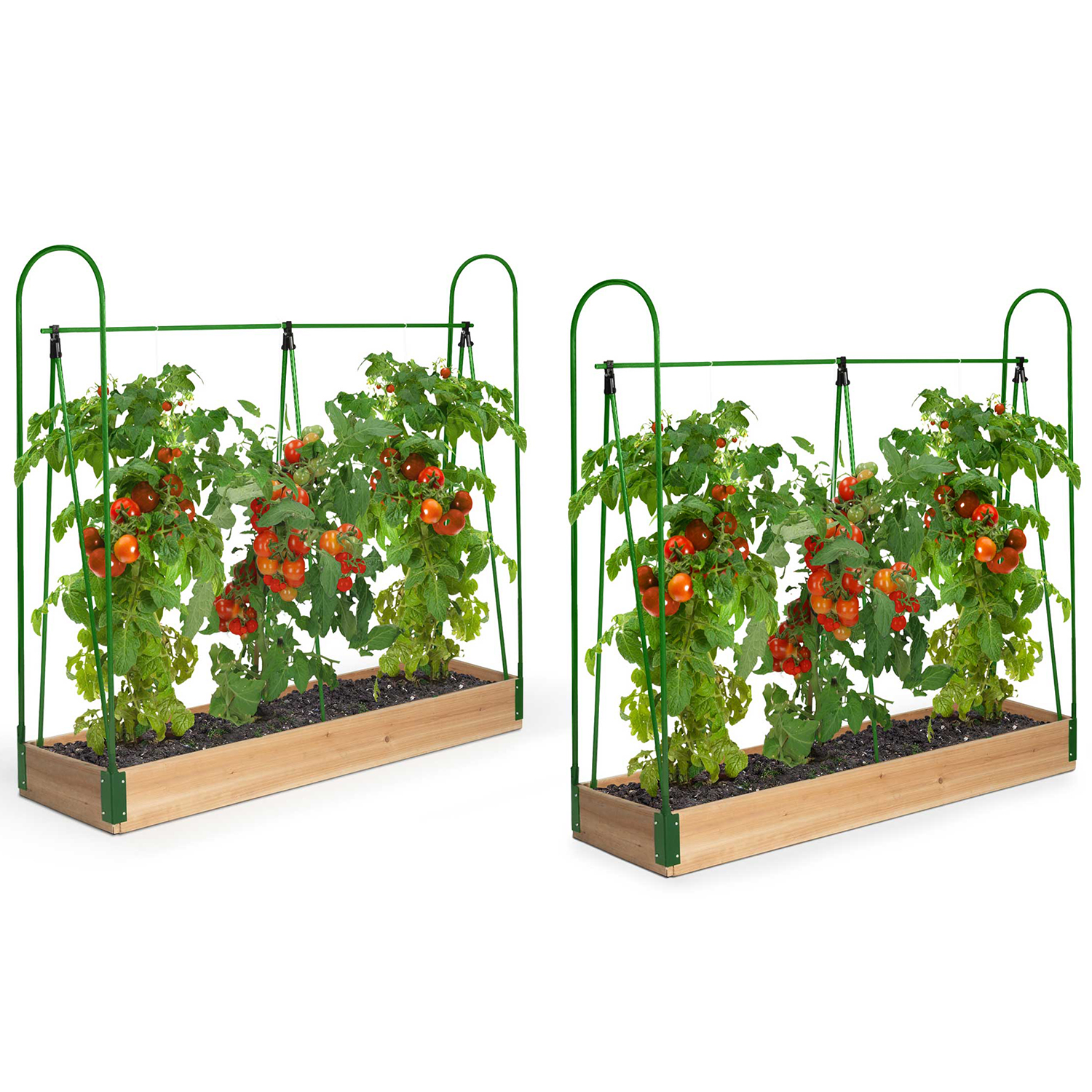 Tunnels à tomates avec carré potager, support et tuteur pas cher ID
