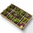 Carré potager 1,15x0,8M 12 compartiments en bois