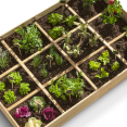 Carré potager 1,15x0,8M 12 compartiments en bois