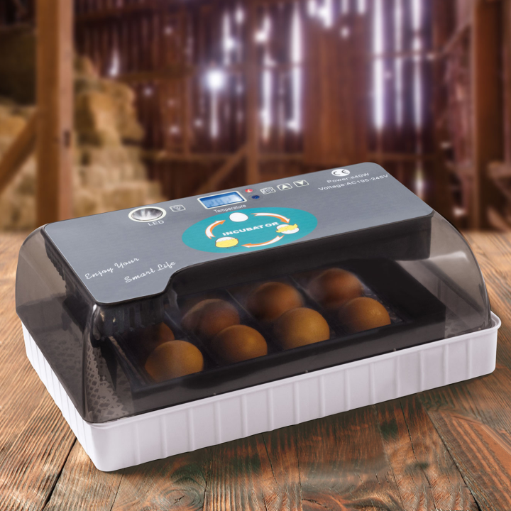 Couveuse automatique 12 œufs incubateur toutes volailles autonome avec mire œufs Couveuse automatique 12 œufs incubateur toutes volailles autonome avec mire œufs