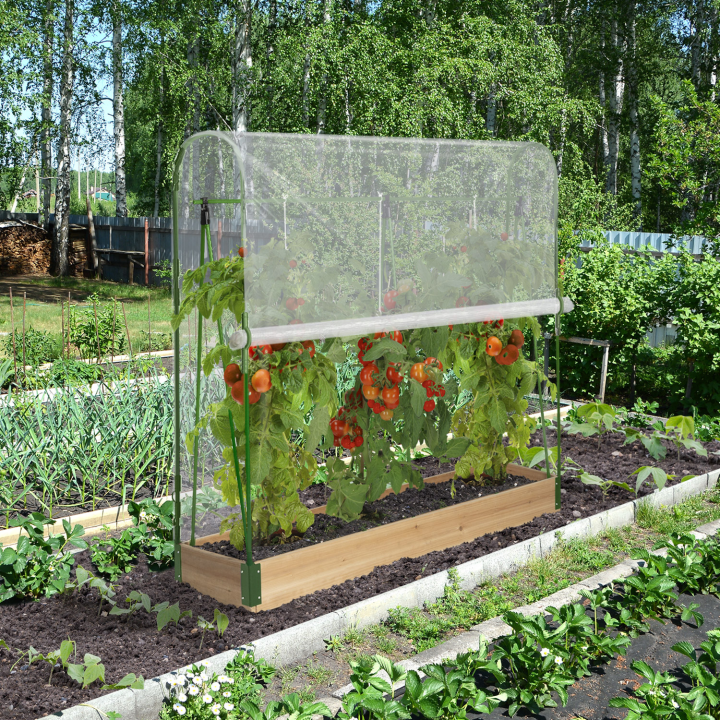 Serre à tomates spéciale croissance kit complet bâche + support