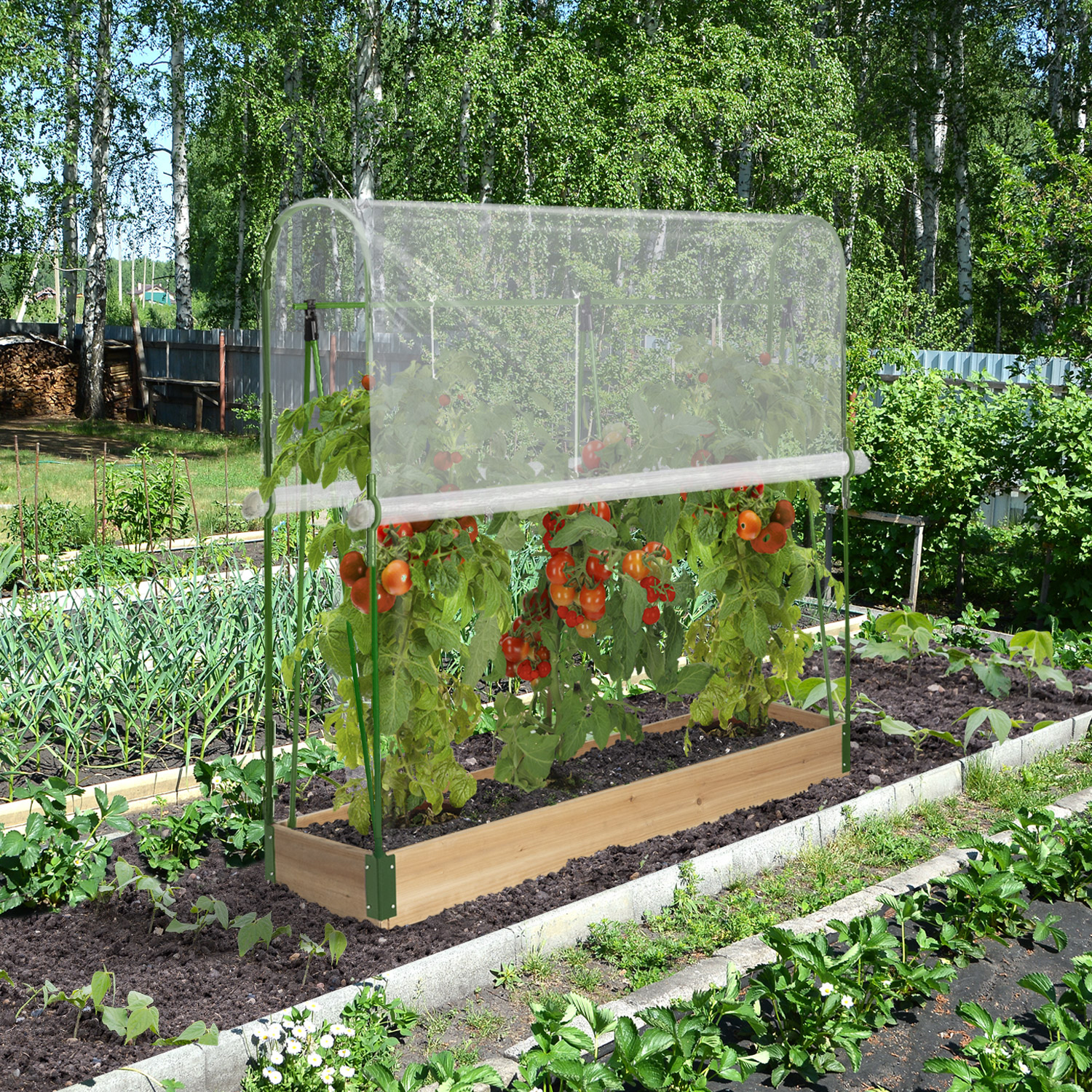 Serre de jardin serre pour tomate acier et toile Dimensions 150 x 100 x 50 cm 