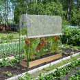 Duo serres à tomates modulable spéciale croissance kit complet bâche + support