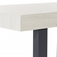 Table à manger PHOENIX 6 personnes bois gris 160 cm