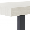 Table à manger rectangle PHOENIX 6 personnes bois gris 160 cm
