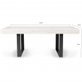 Table à manger rectangle PHOENIX 10 personnes bois gris 225 cm