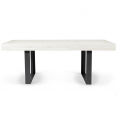 Table à manger extensible PHOENIX 6-10 personnes bois gris 160-200 cm