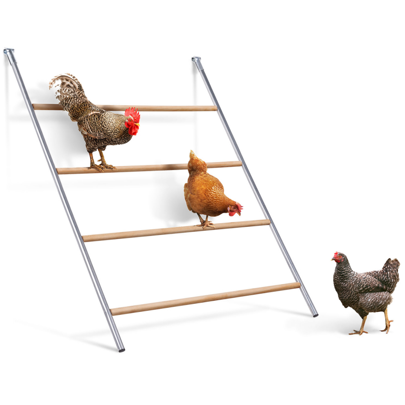 Perchoir pour poules en bois 4 niveaux compatible poulailler