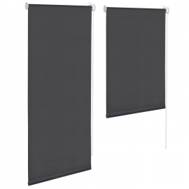 Lot de 2 stores enrouleurs thermiques l.55 x H.120-170 CM gris Lot de 2 stores enrouleurs thermiques l.55 x H.120-170 CM gris