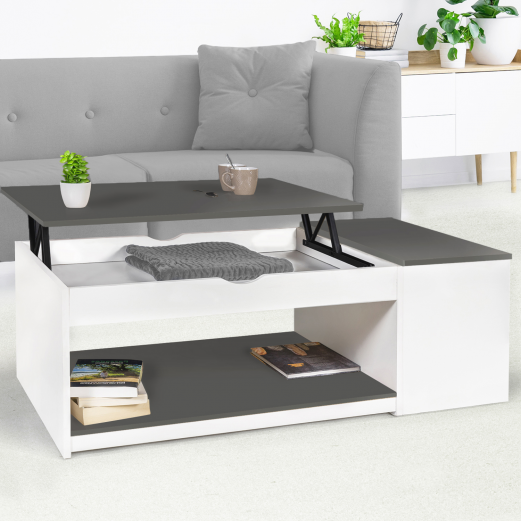 Table basse plateau relevable ELEA avec coffre bois blanc et gris