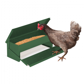 Mangeoire XL verte pour poules distributeur automatique à pédale en acier 5 KG
