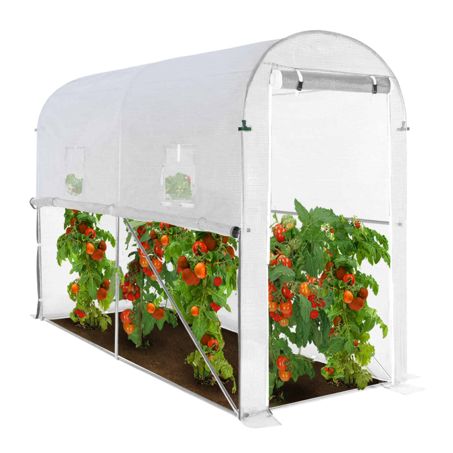 Serre De Jardin Tunnel 100x50x150 Cm - Bâche PVC Transparente, Structure Acier - Porte Zippée - Pour Tomates, Plants, Semis - 11