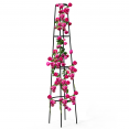 Tuteur pour plantes grimpantes en métal 200 CM arche de jardin support rosier