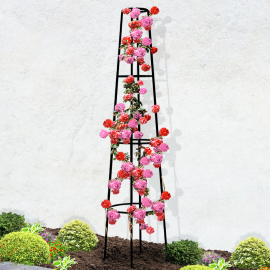Tuteur pour plantes grimpantes en métal 200 CM arche de jardin support rosier