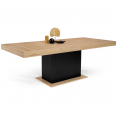 Table à manger extensible EDEN 6-10 personnes bois et noir 160-200 cm