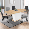 Table à manger extensible EDEN 6-10 personnes bois et blanc 160-200 cm