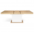 Table à manger extensible EDEN 6-10 personnes bois et blanc 160-200 cm