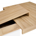 Table à manger extensible rectangle EDEN 6-10 personnes bois et blanc 160-200 cm