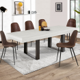 Table à manger extensible PHOENIX 6-10 personnes bois gris 160-200 cm