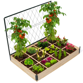 12 Connecteurs Treillis CODIRATO Bras Réglables 25,5-35,5cm - Supports Pour Tomates Vignes Plastique Vert