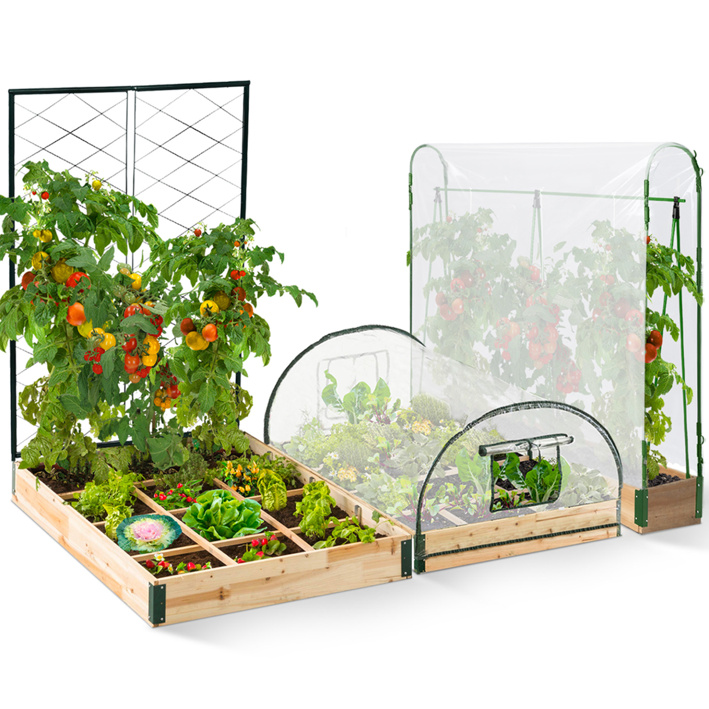 Serre à tomates relevable 3m² verte 2 fenêtres avec moustiquaire et porte zippée ID MARKET