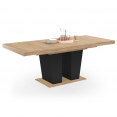 Table à manger extensible rectangle ELIAD 6-10 personnes bois et noir 160-200 cm