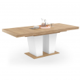 Table à manger extensible rectangle ELIAD 6-10 personnes bois et blanc 160-200 cm