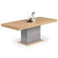 Table à manger extensible rectangle EDEN 6-10 personnes bois et effet béton 160-200 cm
