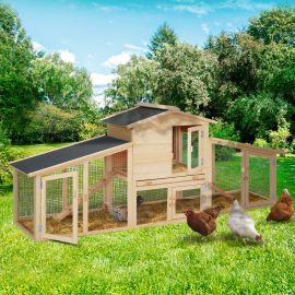Idmarket – Poulailler chalet XL pour 4 à 6 poules – Bois de pin