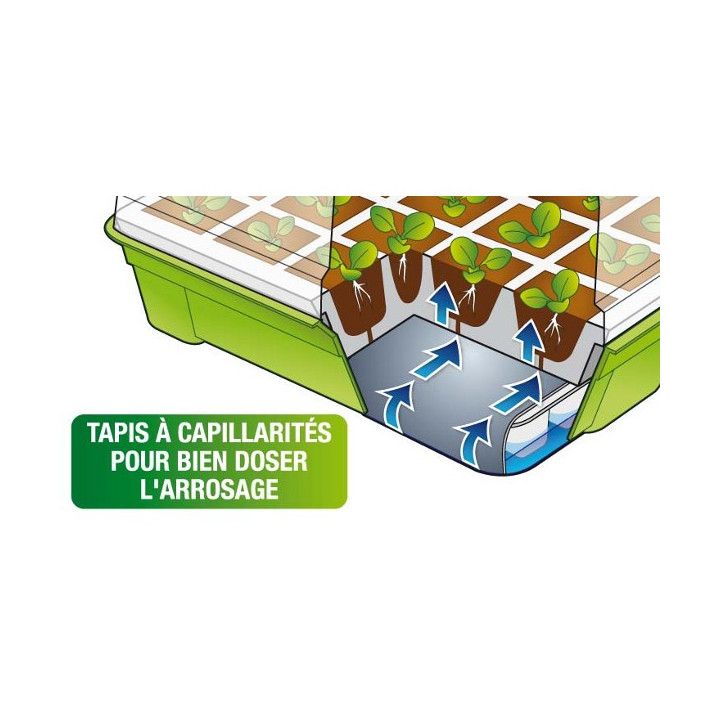 kit de germination 40 godets